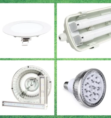 led lights on grass background