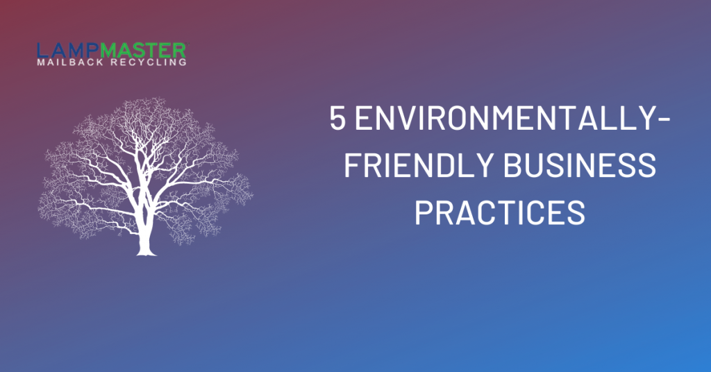 5 environmentally friendly business practices